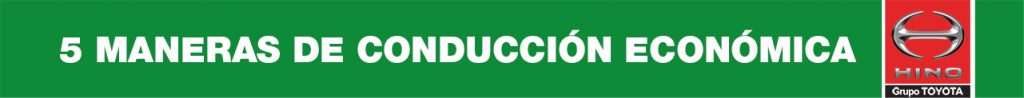 5 maneras de conducción económica